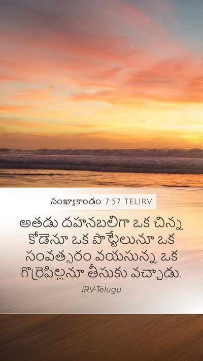 సంఖ్యాకాండం 7:57 TELIRV Mobile Phone Wallpaper - అతడు దహనబలిగా ఒక - Mobile Bible Verse Wallpaper