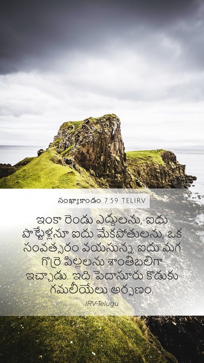 సంఖ్యాకాండం 7:59 TELIRV Bible Verse Image