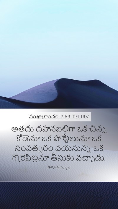 సంఖ్యాకాండం 7:63 TELIRV Mobile Phone Wallpaper - అతడు దహనబలిగా ఒక - Mobile Bible Verse Wallpaper