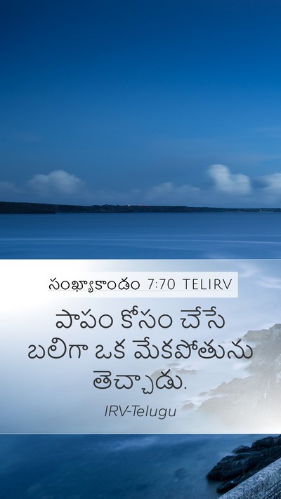 సంఖ్యాకాండం 7:70 TELIRV Mobile Phone Wallpaper - పాపం కోసం చేసే - Mobile Bible Verse Wallpaper