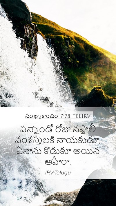 సంఖ్యాకాండం 7:78 TELIRV Bible Verse Image