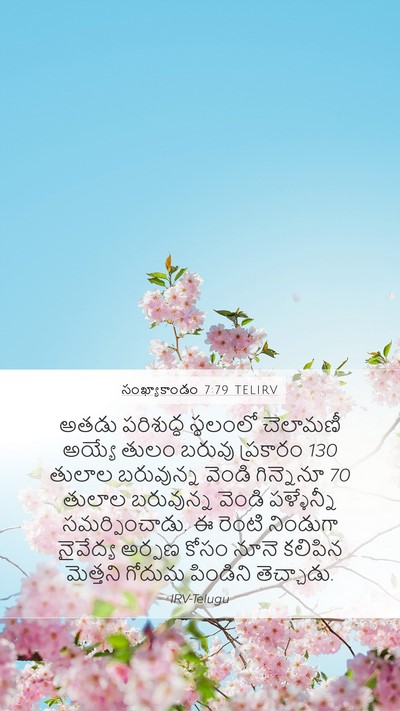 సంఖ్యాకాండం 7:79 TELIRV Mobile Phone Wallpaper - అతడు పరిశుద్ధ - Mobile Bible Verse Wallpaper