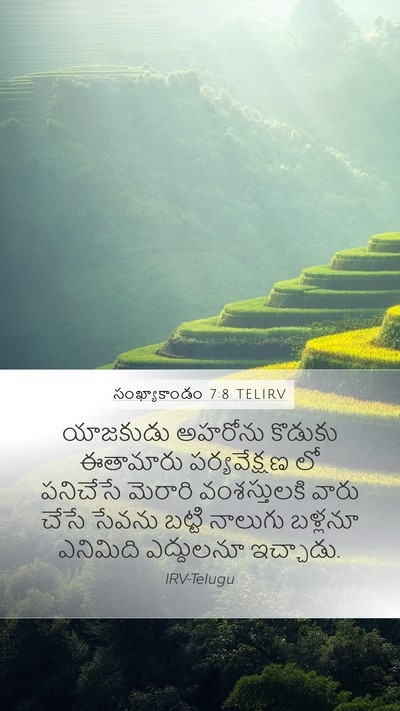 సంఖ్యాకాండం 7:8 TELIRV Bible Verse Image