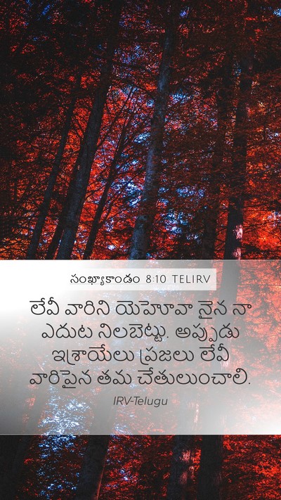 సంఖ్యాకాండం 8:10 TELIRV Mobile Phone Wallpaper - లేవీ వారిని - Mobile Bible Verse Wallpaper