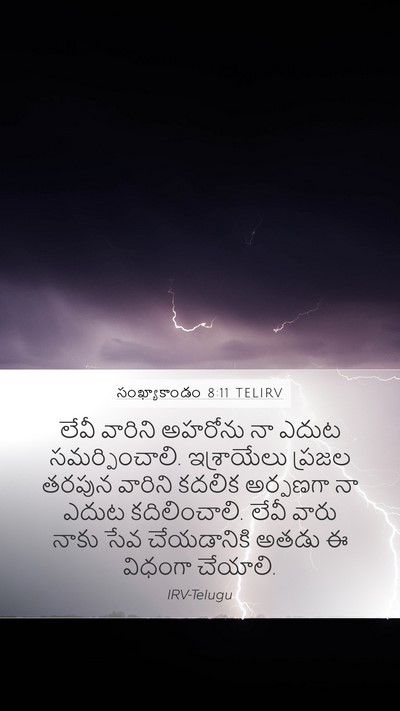 సంఖ్యాకాండం 8:11 TELIRV Mobile Phone Wallpaper - లేవీ వారిని - Mobile Bible Verse Wallpaper