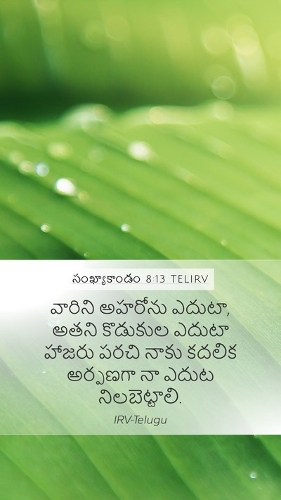 సంఖ్యాకాండం 8:13 TELIRV Bible Verse Image