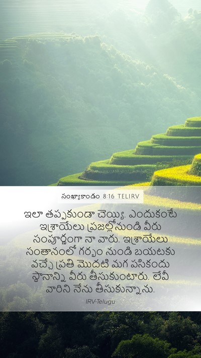 సంఖ్యాకాండం 8:16 TELIRV Bible Verse Image