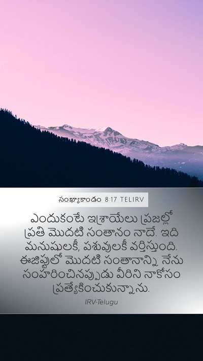 సంఖ్యాకాండం 8:17 TELIRV Mobile Phone Wallpaper - ఎందుకంటే - Mobile Bible Verse Wallpaper