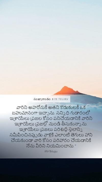 సంఖ్యాకాండం 8:19 TELIRV Bible Verse Image