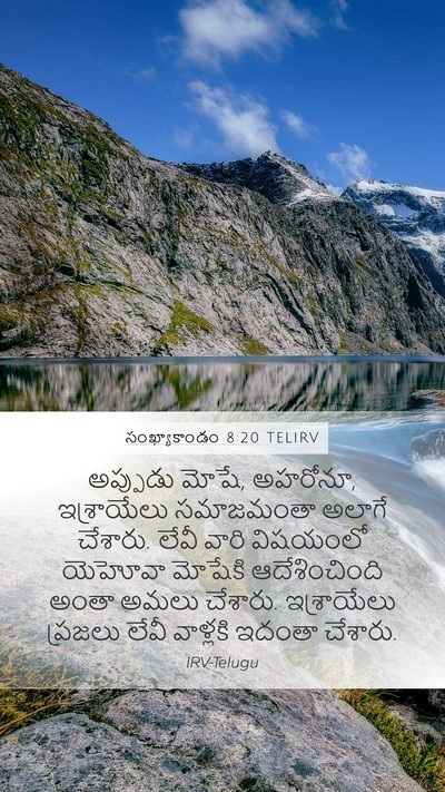 సంఖ్యాకాండం 8:20 TELIRV Bible Verse Image