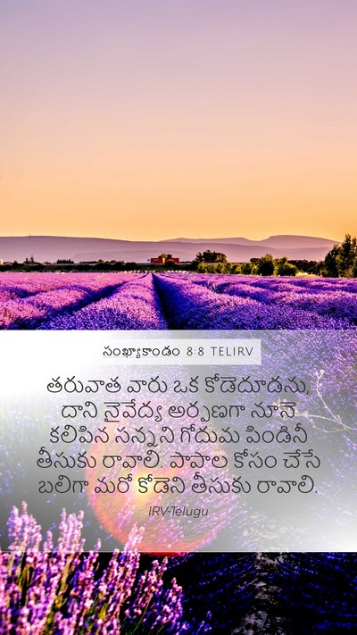 సంఖ్యాకాండం 8:8 TELIRV Mobile Phone Wallpaper - తరువాత వారు ఒక - Mobile Bible Verse Wallpaper
