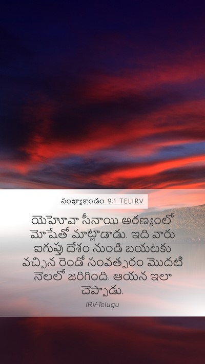 సంఖ్యాకాండం 9:1 TELIRV Bible Verse Image