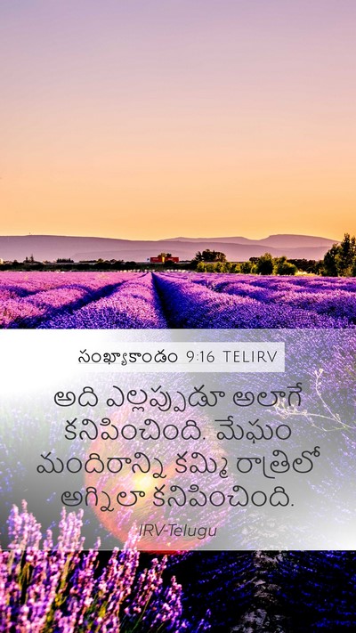 సంఖ్యాకాండం 9:16 TELIRV Mobile Phone Wallpaper - అది ఎల్లప్పుడూ - Mobile Bible Verse Wallpaper