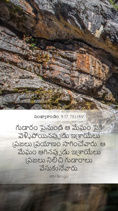 సంఖ్యాకాండం 9:17 TELIRV Bible Verse Image