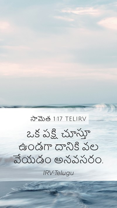 సామెత 1:17 TELIRV Bible Verse Image