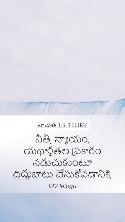 సామెత 1:3 TELIRV Bible Verse Image