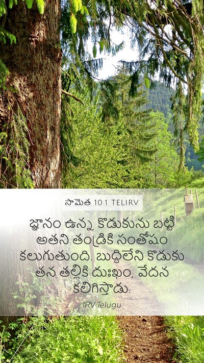 సామెత 10:1 TELIRV Bible Verse Image