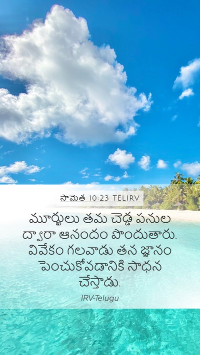 సామెత 10:23 TELIRV Bible Verse Image
