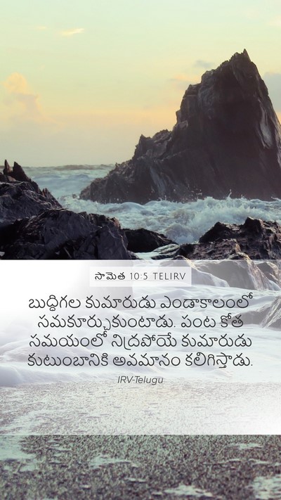 సామెత 10:5 TELIRV Bible Verse Image