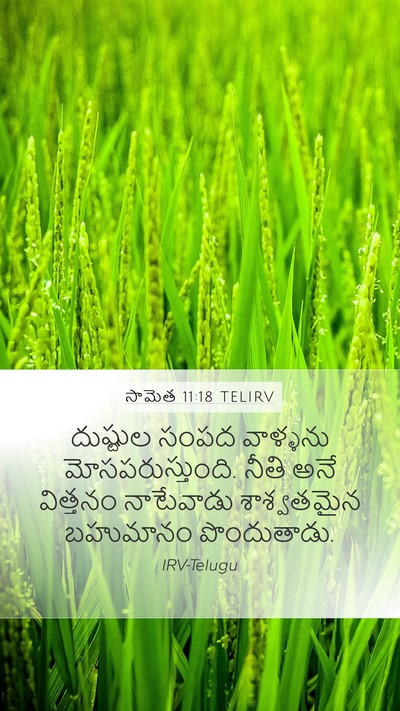 సామెత 11:18 TELIRV Bible Verse Image