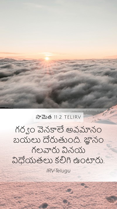 సామెత 11:2 TELIRV Bible Verse Image
