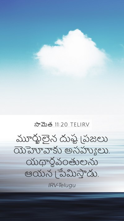 సామెత 11:20 TELIRV Bible Verse Image