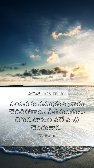 సామెత 11:28 TELIRV Bible Verse Image