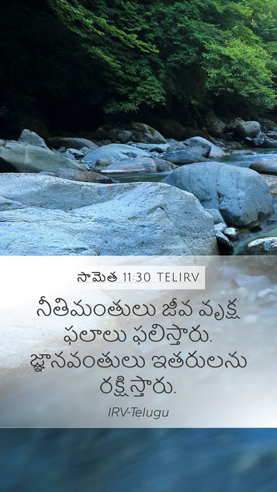 సామెత 11:30 TELIRV Bible Verse Image