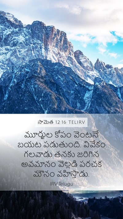 సామెత 12:16 TELIRV Bible Verse Image