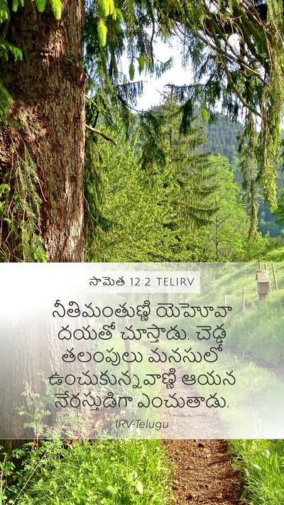 సామెత 12:2 TELIRV Bible Verse Image