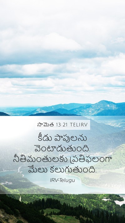సామెత 13:21 TELIRV Bible Verse Image