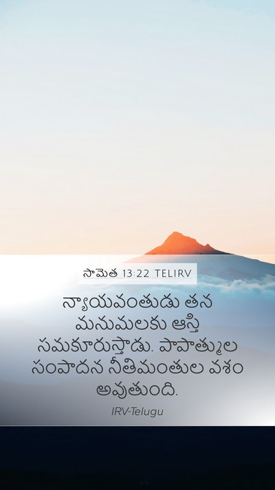 సామెత 13:22 TELIRV Bible Verse Image