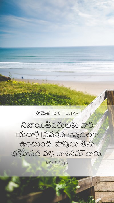 సామెత 13:6 TELIRV Bible Verse Image
