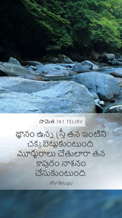 సామెత 14:1 TELIRV Bible Verse Image