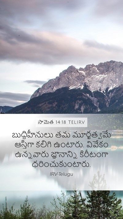 సామెత 14:18 TELIRV Bible Verse Image