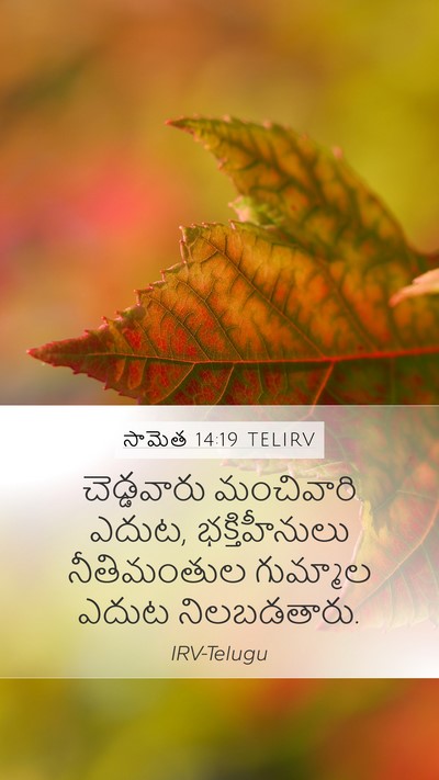 సామెత 14:19 TELIRV Bible Verse Image
