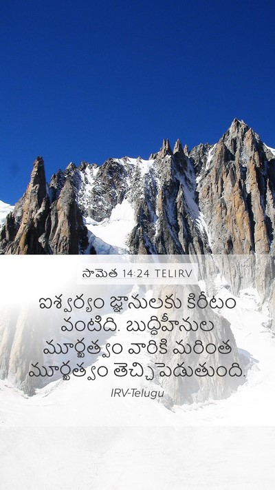 సామెత 14:24 TELIRV Mobile Phone Wallpaper - ఐశ్వర్యం - Mobile Bible Verse Wallpaper