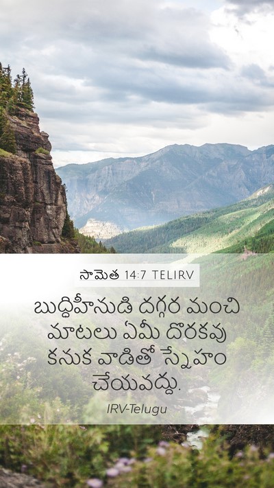 సామెత 14:7 TELIRV Mobile Phone Wallpaper - బుద్ధిహీనుడి - Mobile Bible Verse Wallpaper