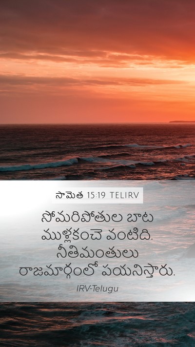 సామెత 15:19 TELIRV Bible Verse Image