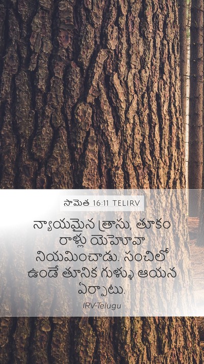 సామెత 16:11 TELIRV Bible Verse Image