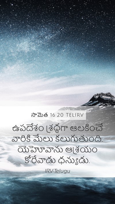 సామెత 16:20 TELIRV Bible Verse Image