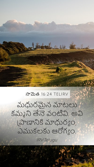 సామెత 16:24 TELIRV Bible Verse Image