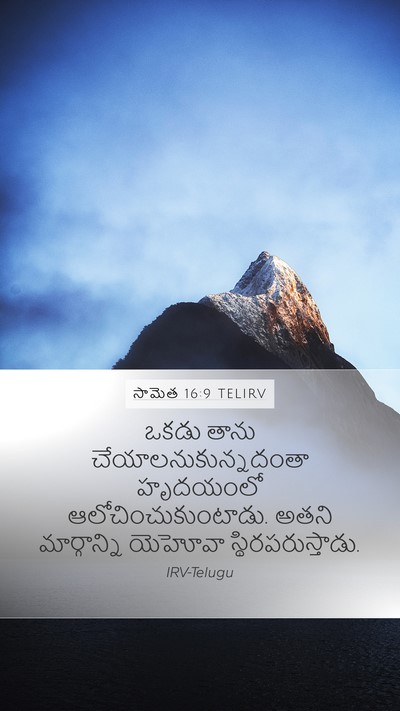 సామెత 16:9 TELIRV Bible Verse Image