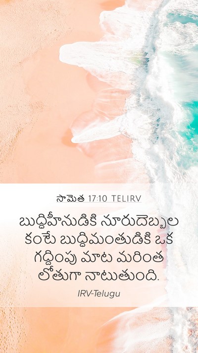 సామెత 17:10 TELIRV Bible Verse Image