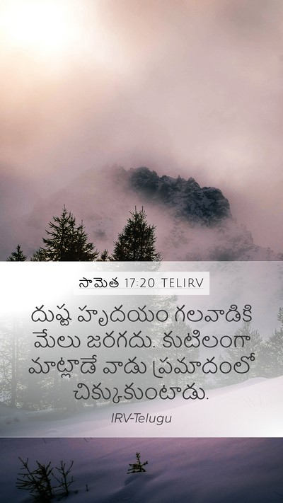 సామెత 17:20 TELIRV Bible Verse Image