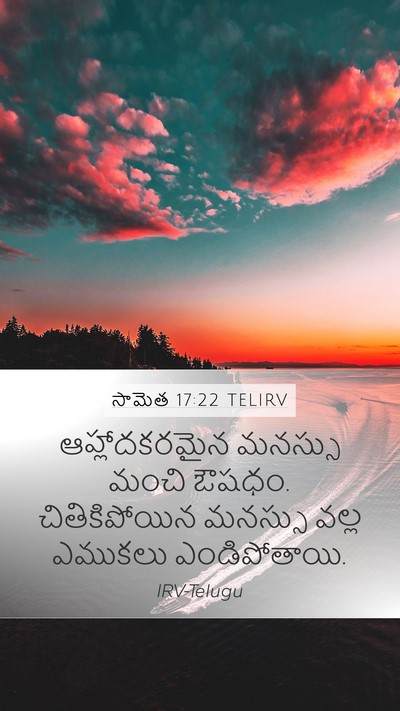 సామెత 17:22 TELIRV Bible Verse Image