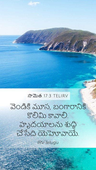 సామెత 17:3 TELIRV Bible Verse Image