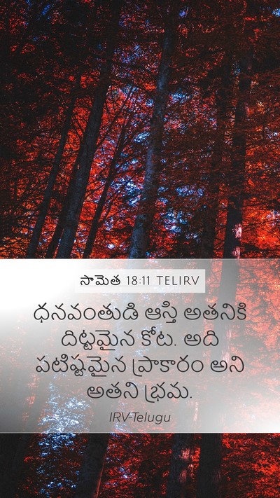 సామెత 18:11 TELIRV Bible Verse Image