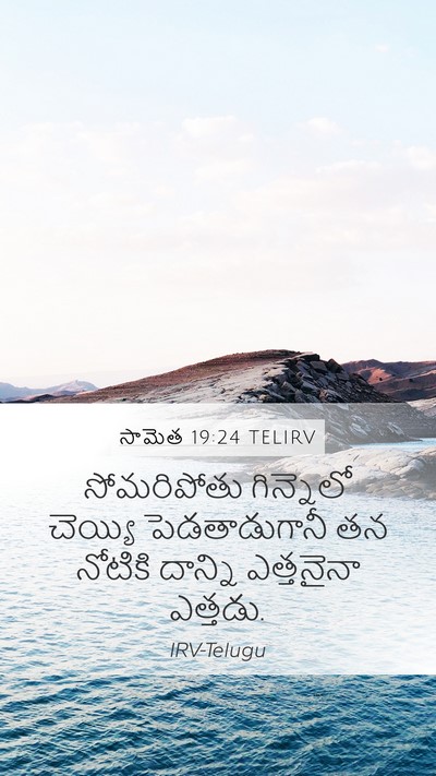 సామెత 19:24 TELIRV Bible Verse Image
