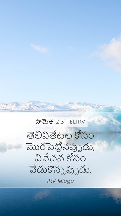 సామెత 2:3 TELIRV Bible Verse Image